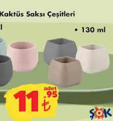 KAKTÜS SAKSI ÇEŞİTLERİ 130 ML KAKTÜS SAKSI ÇEŞİTLERİ 130 ML